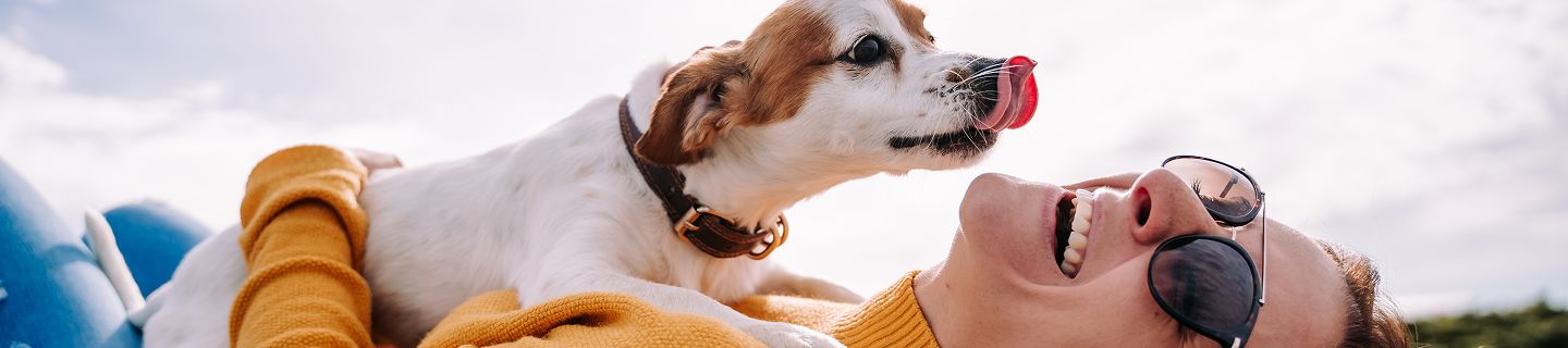 Dog licking smiling woman