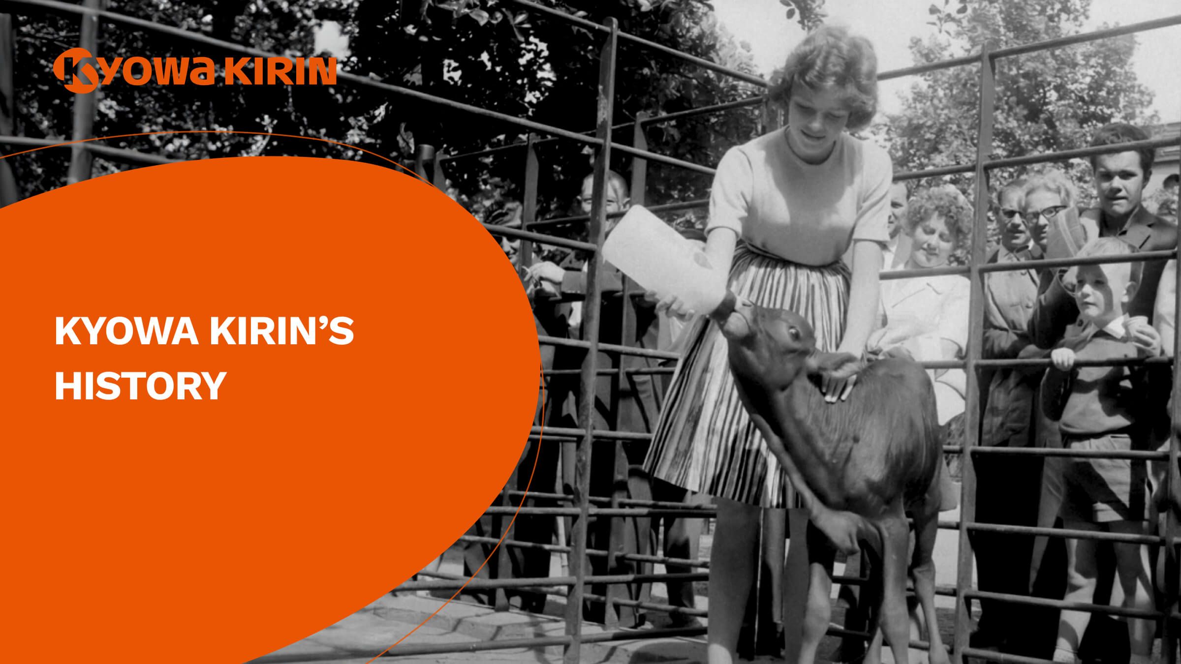 An old photo of a woman feeding milk to a calf